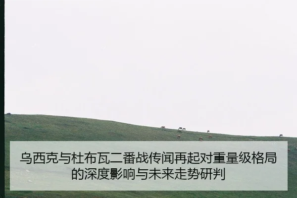 乌西克与杜布瓦二番战传闻再起对重量级格局的深度影响与未来走势研判（jiuyou game）